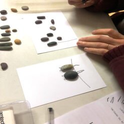 Alternative view of Pebble Bash Workshop