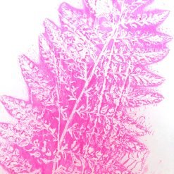 Pink leaf print on white paper showing detailed veins and texture from pressing technique.