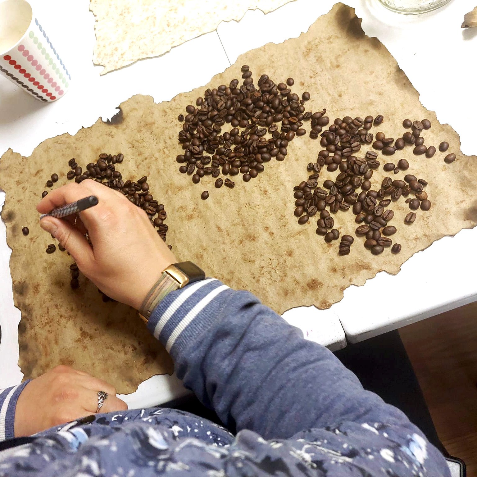 Person outlining coffee bean clusters shaped like continents on aged parchment using two black pens.