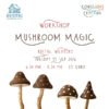 Mushroom Magic Workshop event card, Rustig, Wexford, Tuesday 15 September