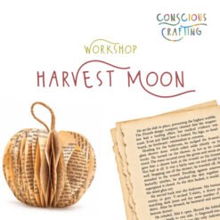 Harvest Moon Workshop